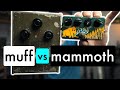 Bass Fuzz Pedal Shootout | The Pedal Studio