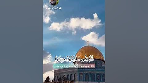 سورة نوح بمقام العجم #القرآن_الكريم #قرآن #سورة نوح #القدس #القران #قران_كريم.
