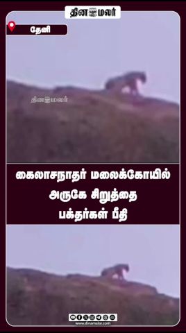கைலாசநாதர் மலைக்கோயில் அருகே சிறுத்தை பக்தர்கள் பீதி