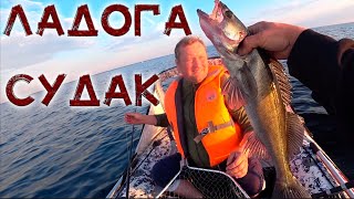 ЛАДОГА СУДАК КРЕНИЦЫ