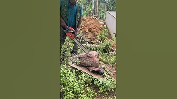 🛠️ Chainsaw Wood Log Cutting – Fast & Smooth Cutting Demo!