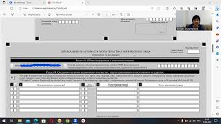 Всеобщее декларирование доходов бизнеса с2024 года. Форма 250.Заполнение.