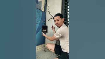 Cây muội Hồng #hoangkienanh