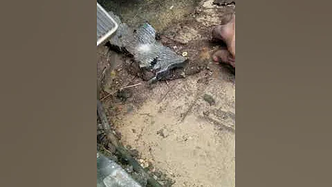 1971 American Motors Amc Javelin sst 304 v8   automatic