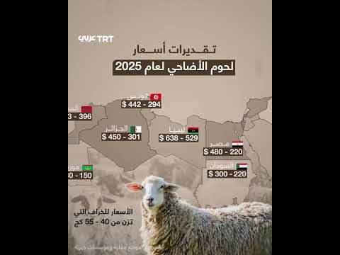 كم يُقدَّر سعر الخروف في بعض دول العالم الإسلامي؟ وكم وصل سعره في غزة؟