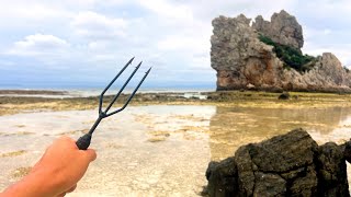 春の海で食材探して食べたった