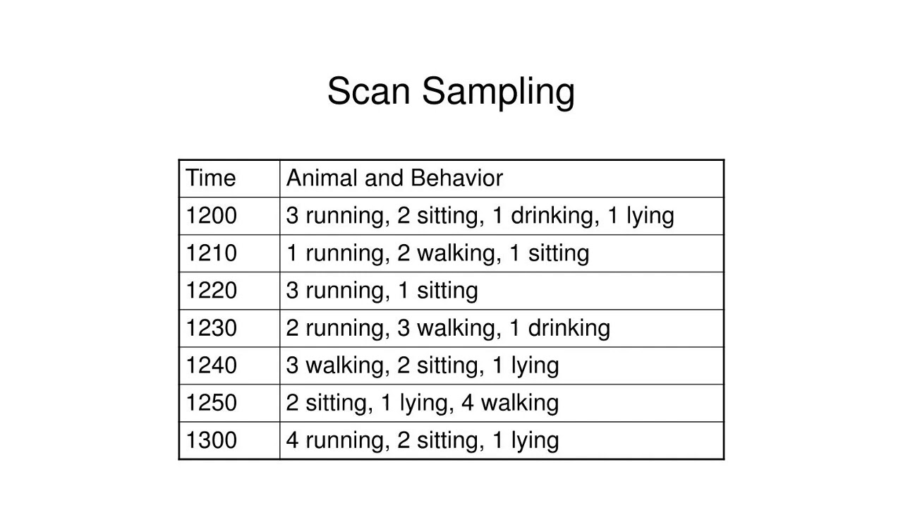 Scan Sampling Technique - YouTube