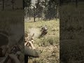 Mastering Survival Skill in Red Dead Redemption 2 #rdr2 #survivaltips #gamingshorts #gaming #shorts