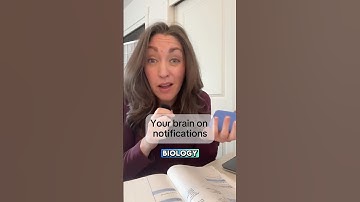 Why You Can’t Stop Checking Your Phone (The science)