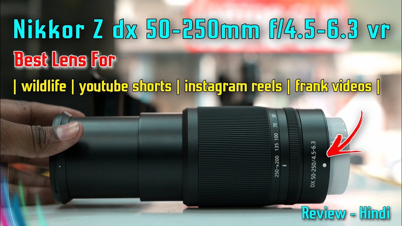 Nikkor Z DX 50-250mm f/4.5-6.3 vr review | wildlife photography | youtube  shorts | instagram reels