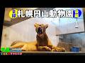 🐯【後編】札幌円山動物園を全録してみた【ぶらり札幌散歩】【札幌市中央区】【2026春】