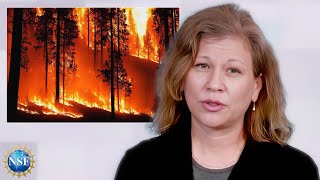 The Science of Wildfires | EXPLAINED | Ecologist Kendra McLauchlan