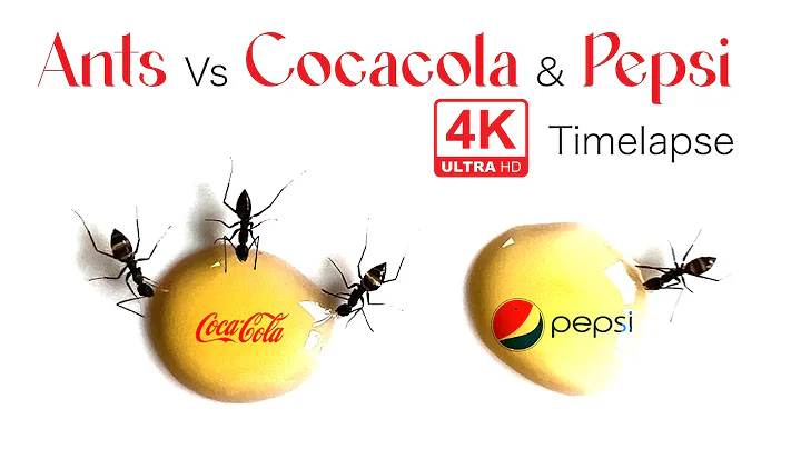 Ants Vs Coca Cola Vs Pepsi #satisfying #satisfyingvideo #nonsense #ants #asmr #asmrvideo