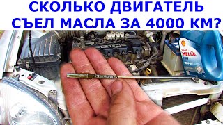 Сколько двигатель Ланос съел масла за 4000 км