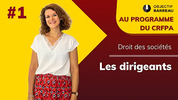 Qui choisit le dirigeant de droit ?