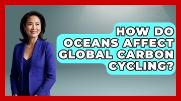 How Do Oceans Affect Global Carbon Cycling? - Explaining Ecology