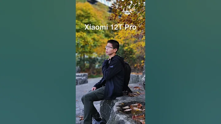 iPhone 14 Pro vs Xiaomi 12T Pro Camera Comparison - DayDayNews