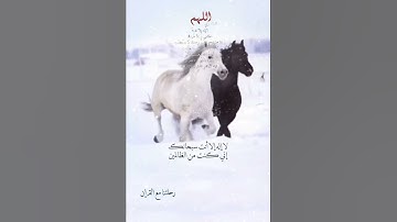 تلاوة خاشعة عطرة مباركة جميلة عذبة للشيخ فارس عباد ماتيسر من سورة الكهف