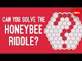 Can you solve the honeybee riddle? - Dan Finkel