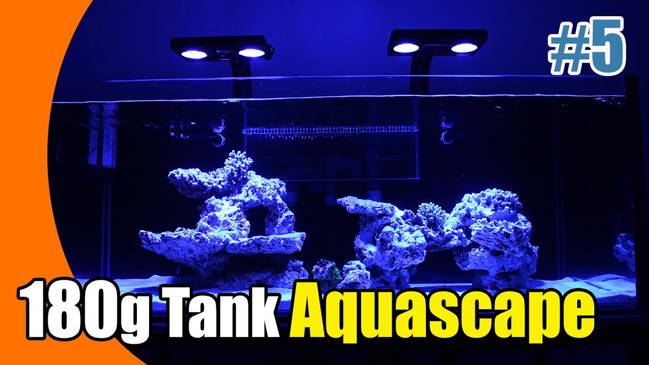 How I Aquascaped my 180 Gallon Reef Tank | Fish Room | 400g Reef System Part 5
