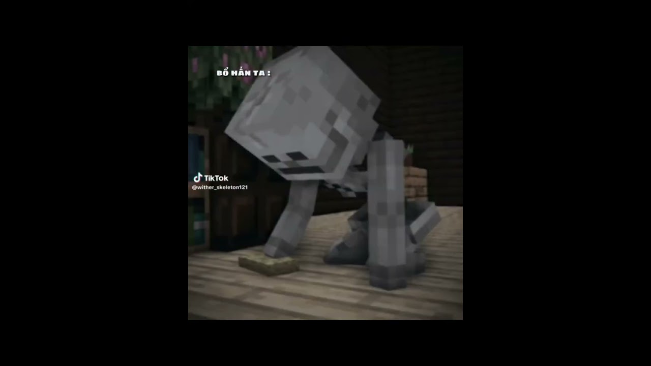 Tổng hợp tiktok wither × skeleton siêu siêu hay