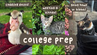 ch.1 preparing for college | organising, building new habits and cuddling ducks 🦆🌱✨