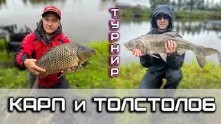 видео: ДРУЖЕСКИЙ ТУРНИР НА ПЛАТНОМ ВОДОЕМЕ/ЛОВИМ КАРПА И ТОЛСТОЛОБА. картинка: ДРУЖЕСКИЙ ТУРНИР НА ПЛАТНОМ ВОДОЕМЕ/ЛОВИМ КАРПА И ТОЛСТОЛОБА.