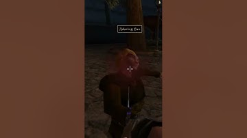 Killing the adoring fan in Morrowind every day until Skywind and Skyblivion are released  Day - 97