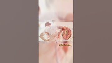 Những công dụng tuyệt vời của rau lang.