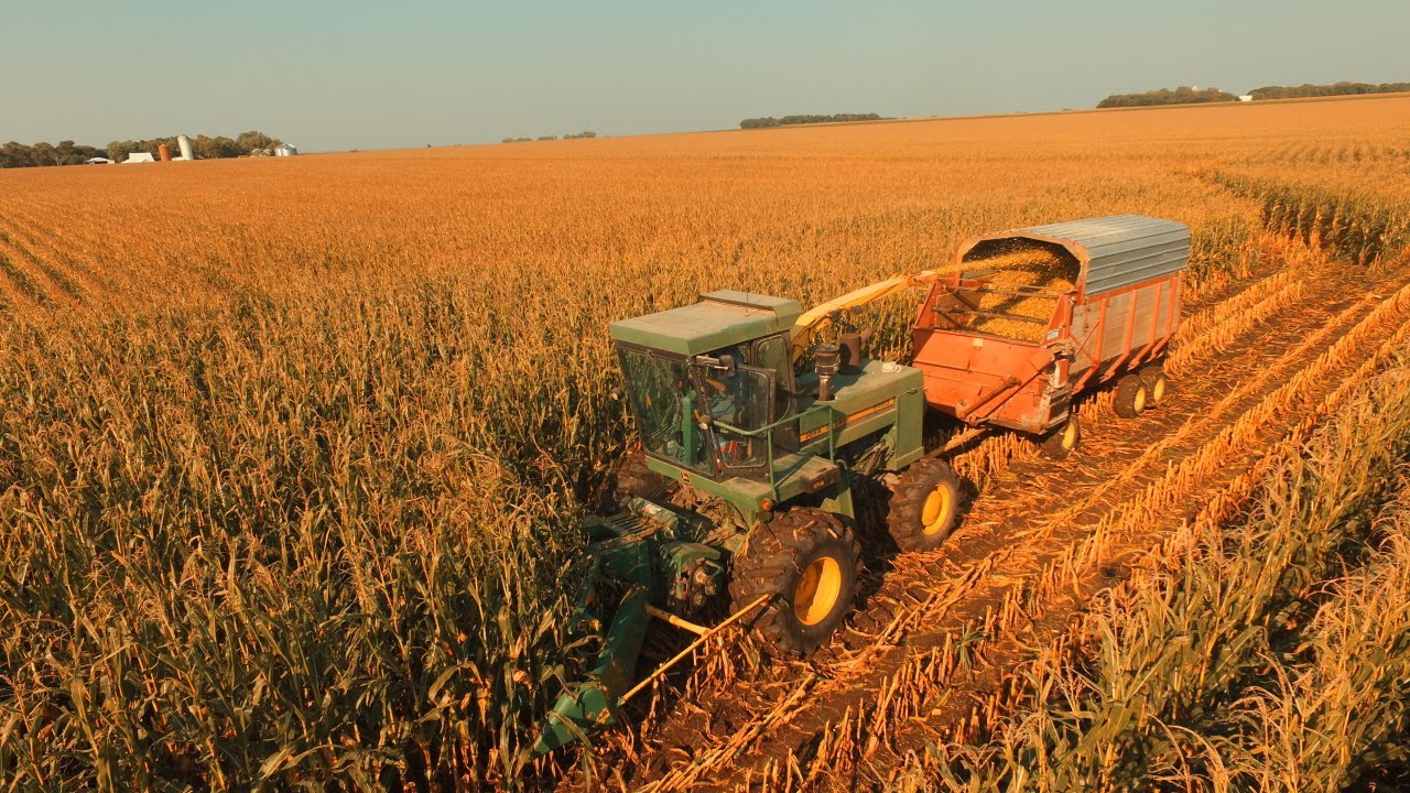 Corn Silage in South Dakota John Deere 5460 YouTube