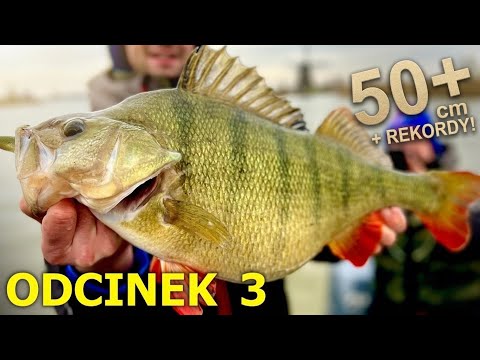 TRZY ŻYCIOWE OKONIE jednego dnia - wyprawa marzeń !!!