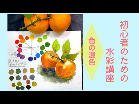水彩画 はっさく 八朔 みかん 絵画 果物の絵 美術 アート