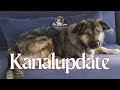 Kanal-Update | Neue Hype-Funktion, Challenges, Mitgliedschaften, mein 1. Buch & Jackys 1. Urlaub