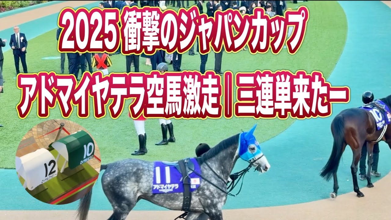 JC2025｜空馬アドマイヤテラの激走に現地騒然《再投稿》