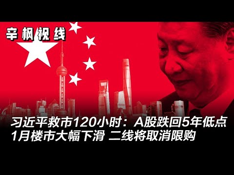 习近平救市120小时：A股跌回5年低点；1月楼市销售大幅下滑，中国经济痛苦加剧，二线城市将全面取消限购 | 辛枫视线