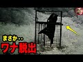 【クマ大脱出】イノシシの罠に錯誤捕獲された後に・・・