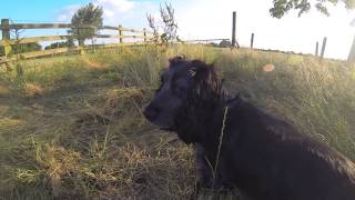 Gopro Masters Day Out