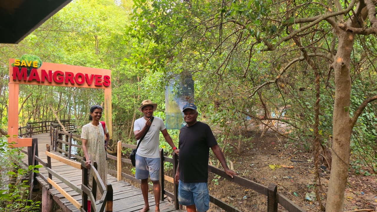 Kali river garden to mangrove kali temple