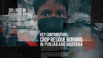 An alternative solution to stubble burning in Punjab