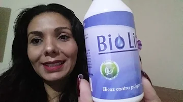 Como fazer um Instagram de gatos?