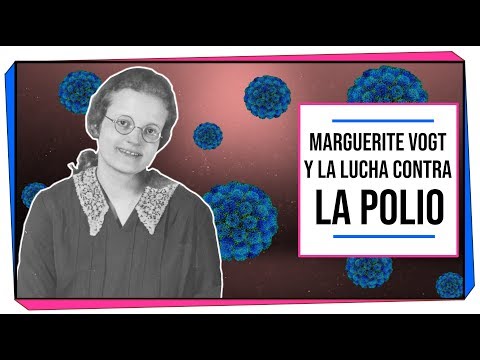 ¿Cómo se desarrolló la vacuna contra la Polio? | Marguerite Vogt | MUJERES EN LA CIENCIA