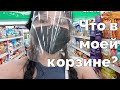 Vlog 04. Alva speaks Russian. Покупки продуктов на Филиппинах!