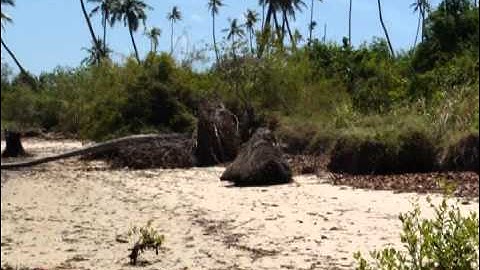 Climate Change Adaptation for Tanzania