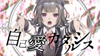 自己愛カタルシス