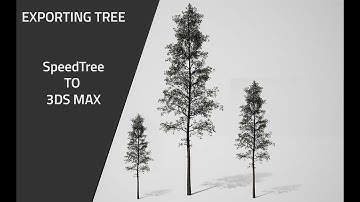 How to export tree - SpeedTree to 3ds max tutorial