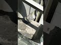 отсечка от воды на козырьке балкона под металлическим настилом