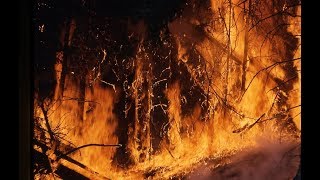 California fires live updates: wildfires in los angeles video footage
12/06/17 - threaten several thousand homes southern wildfires...