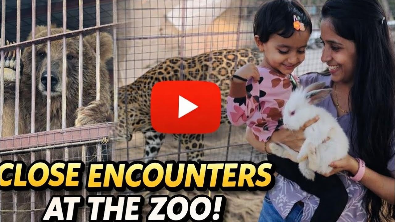 Umm al quwain wild zoo poyalo 🐻🦁🐯🐒🦒 part :1 