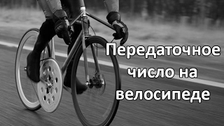 :     (   Bmx  Singlespeed)