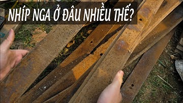 Cách Htx Dao Phúc Sen Thu Gom Thép Nhíp Nga, Nhíp Đỏ, Nhíp Rìa Để Rèn Dao Chất Lượng!